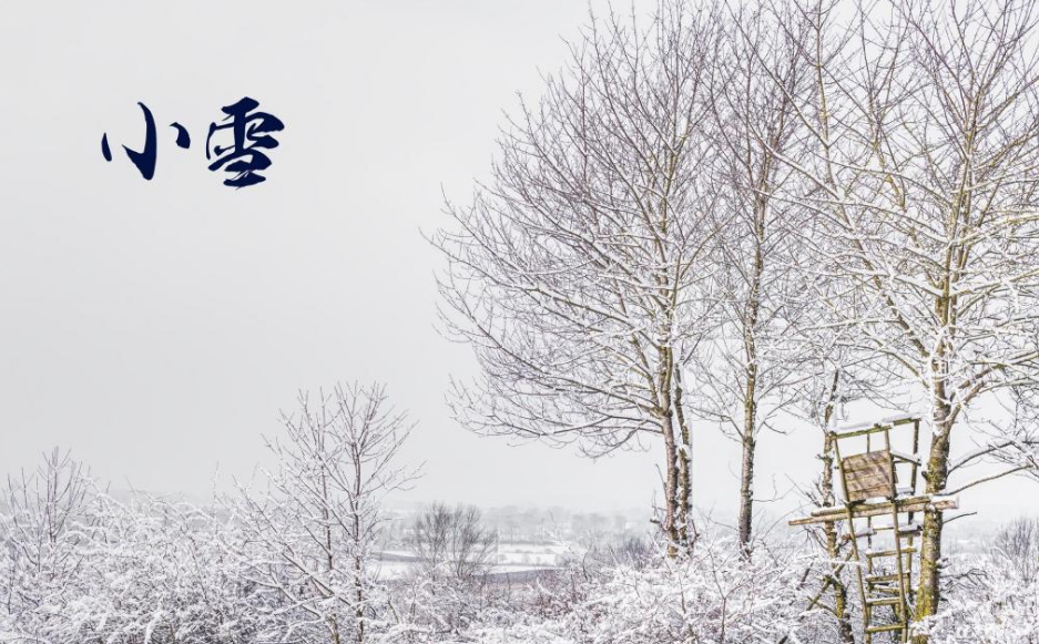 关于小雪时节至诗词鉴赏（小雪节气诗词）