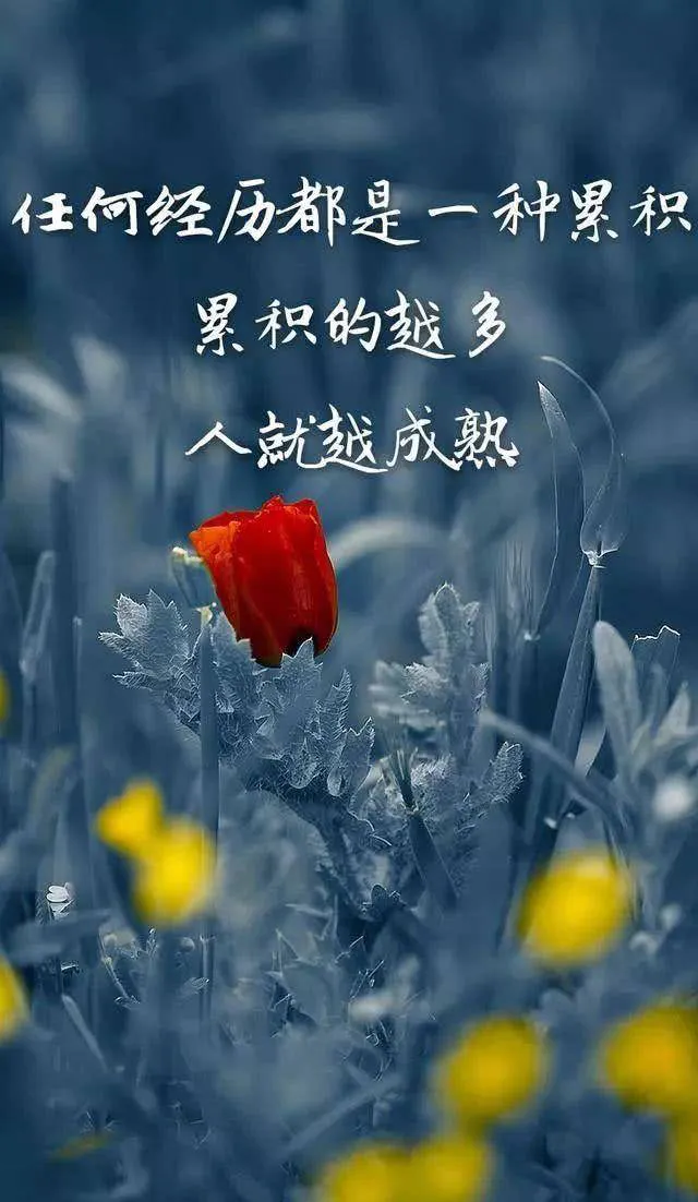 秋分时节早安心语大全（不负时光，不负自己）