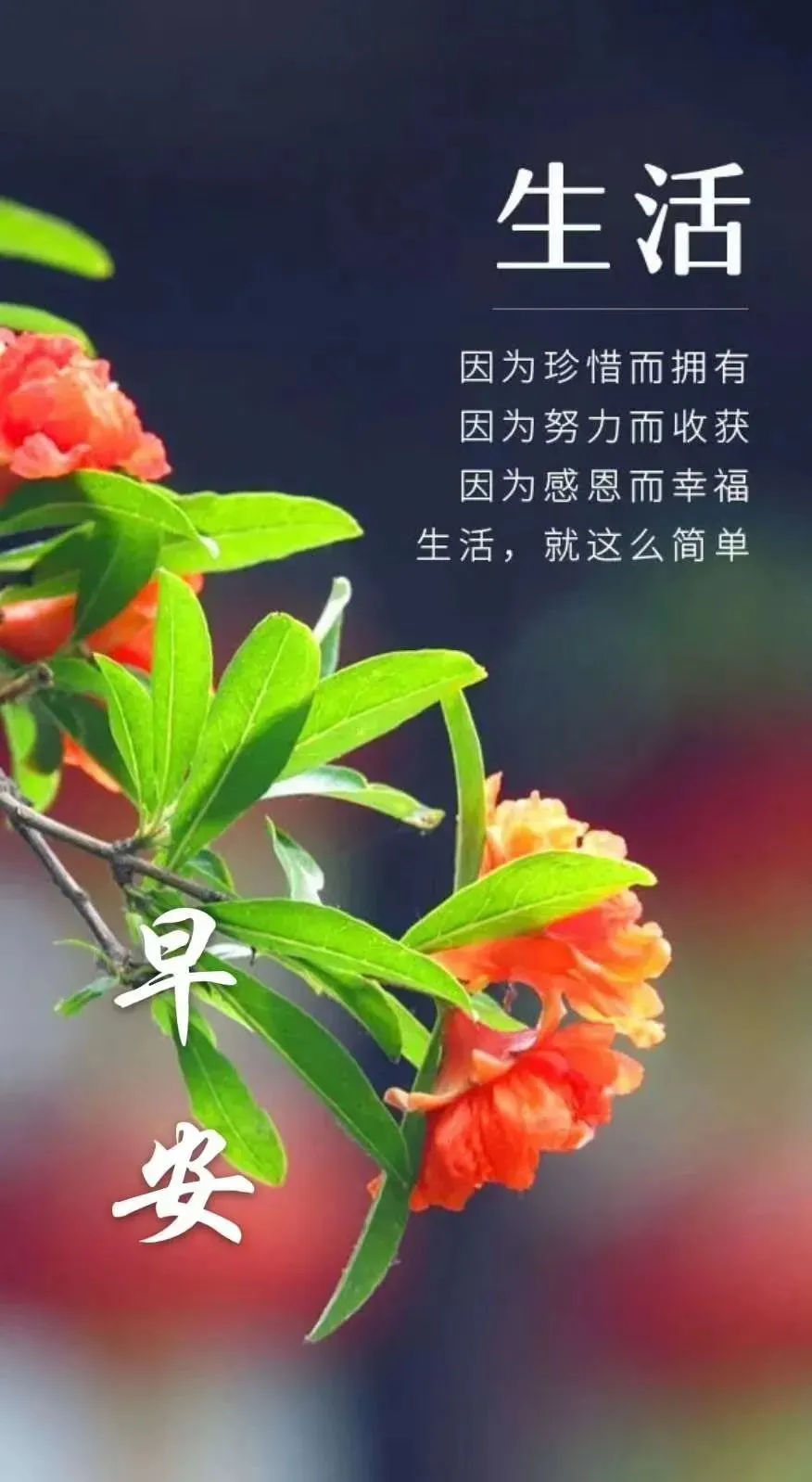 秋分时节早安心语大全（不负时光，不负自己）