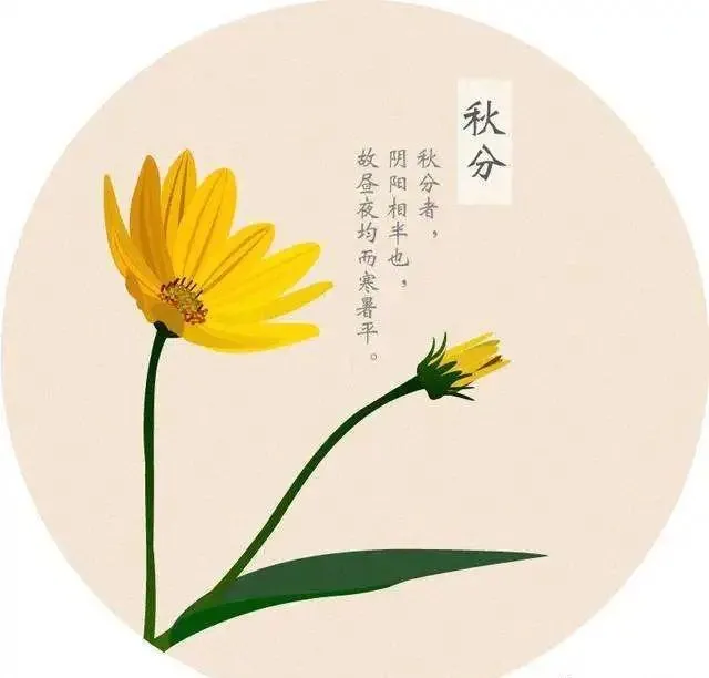 秋分时节早安心语大全（不负时光，不负自己）