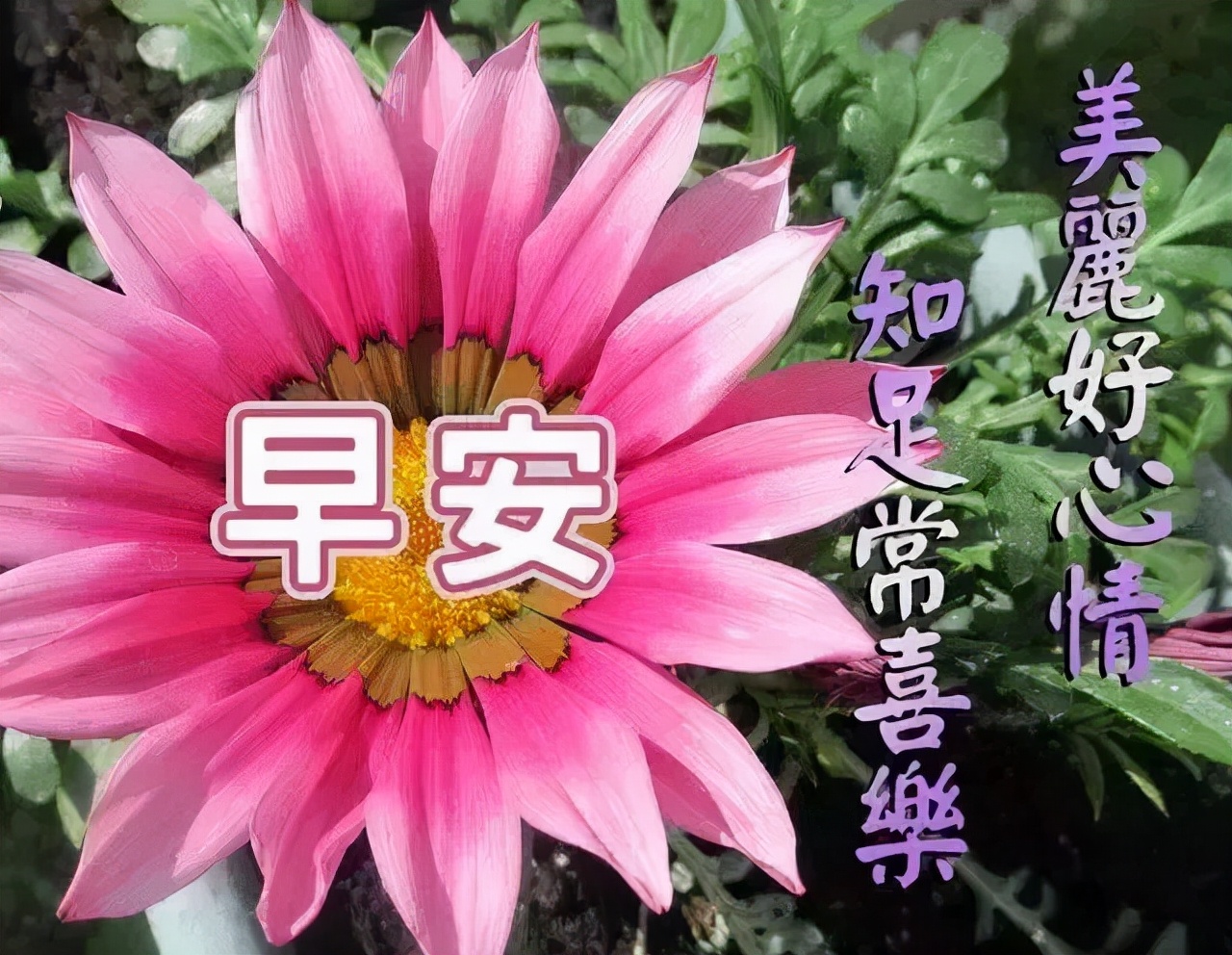 秋分时节早安心语大全（不负时光，不负自己）