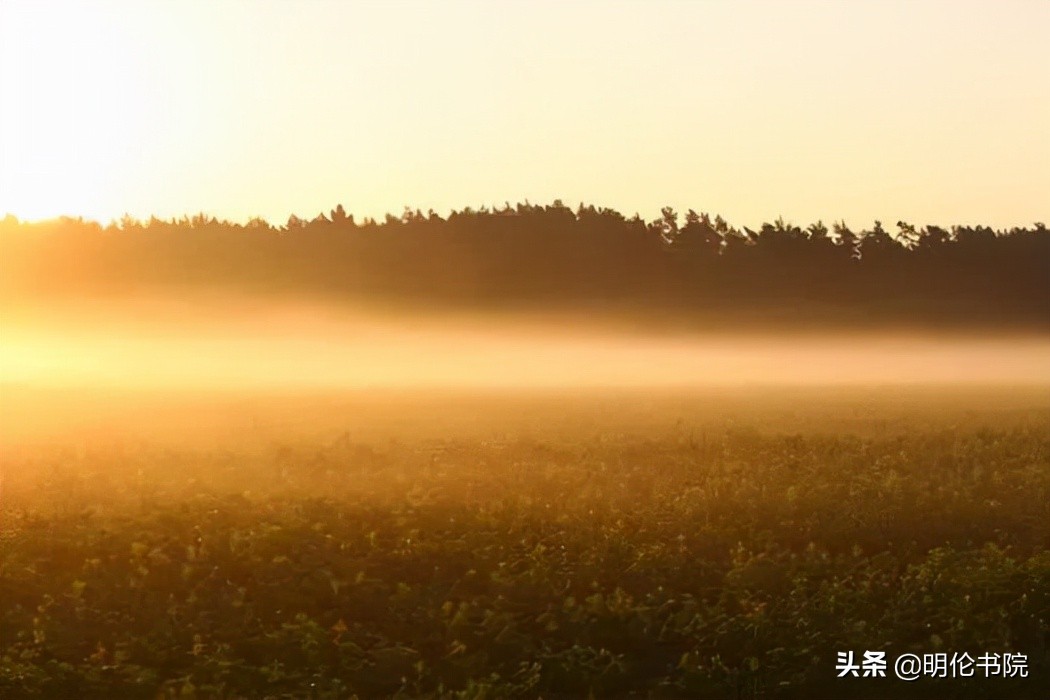 秋分正能量文案（不负韶华不负秋，只生欢喜不生愁）