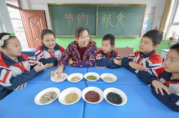 2022拒绝浪费1016世界粮食日宣传方案范本（避免浪费10.16世界粮食日倡议方案模板）