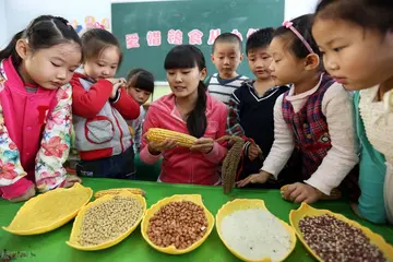 2022粮心之人世界粮食日宣传活动总结范文（满目丰景世界粮食日倡议工作总结范例）