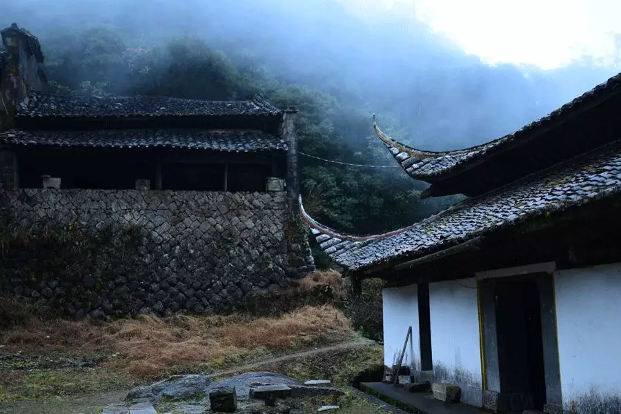 寒露节气说说文案（风凉露寒，成就深秋的美好）