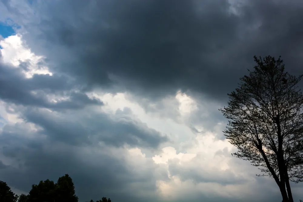 寒露走心语录大全（一场秋雨一场寒）