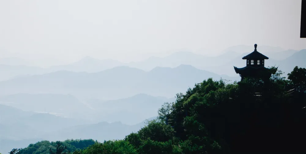 寒露走心语录大全（一场秋雨一场寒）