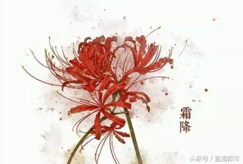 关于霜降节气的由来及习俗（你了解几个呢）