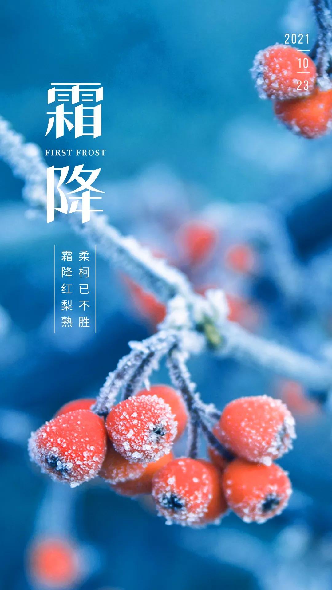 霜降问候语大全（为你送吉祥，祝你金秋快乐）