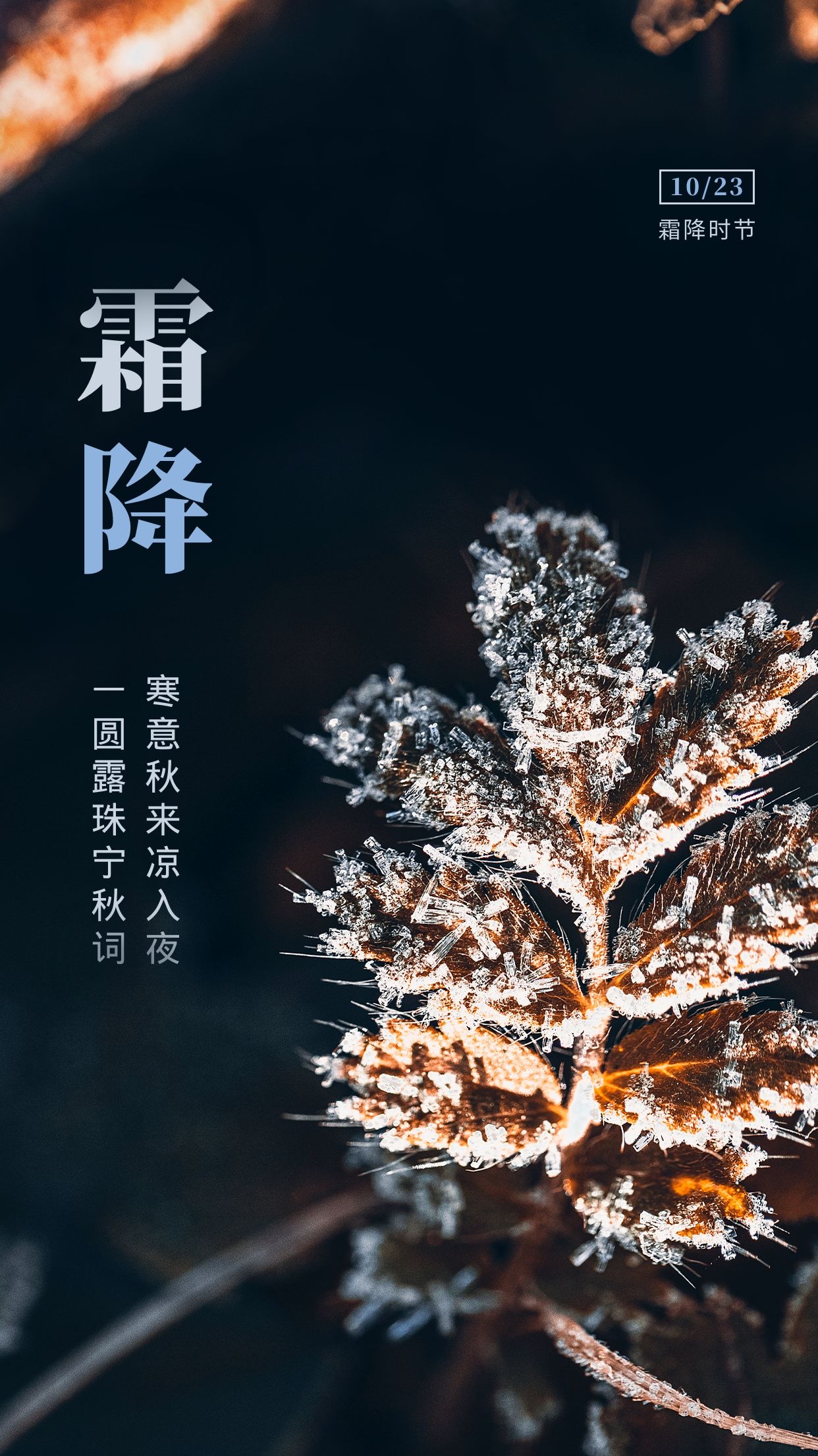 霜降问候语大全（为你送吉祥，祝你金秋快乐）