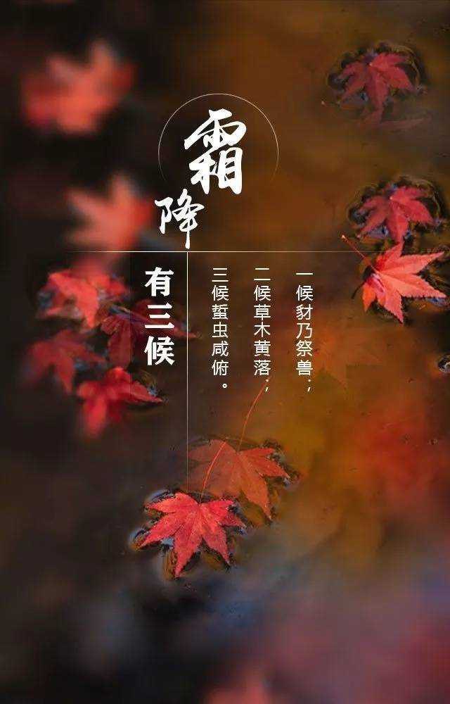 霜降时节朋友圈暖心祝福语（快乐降临，一生无忧）