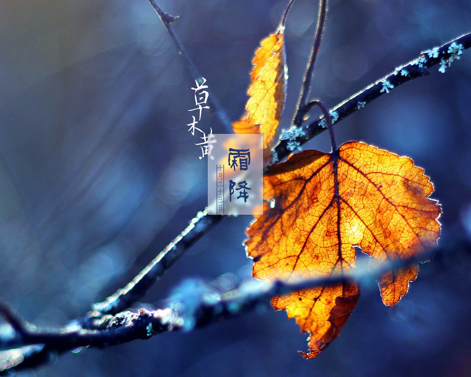 霜降时节朋友圈暖心祝福语（快乐降临，一生无忧）