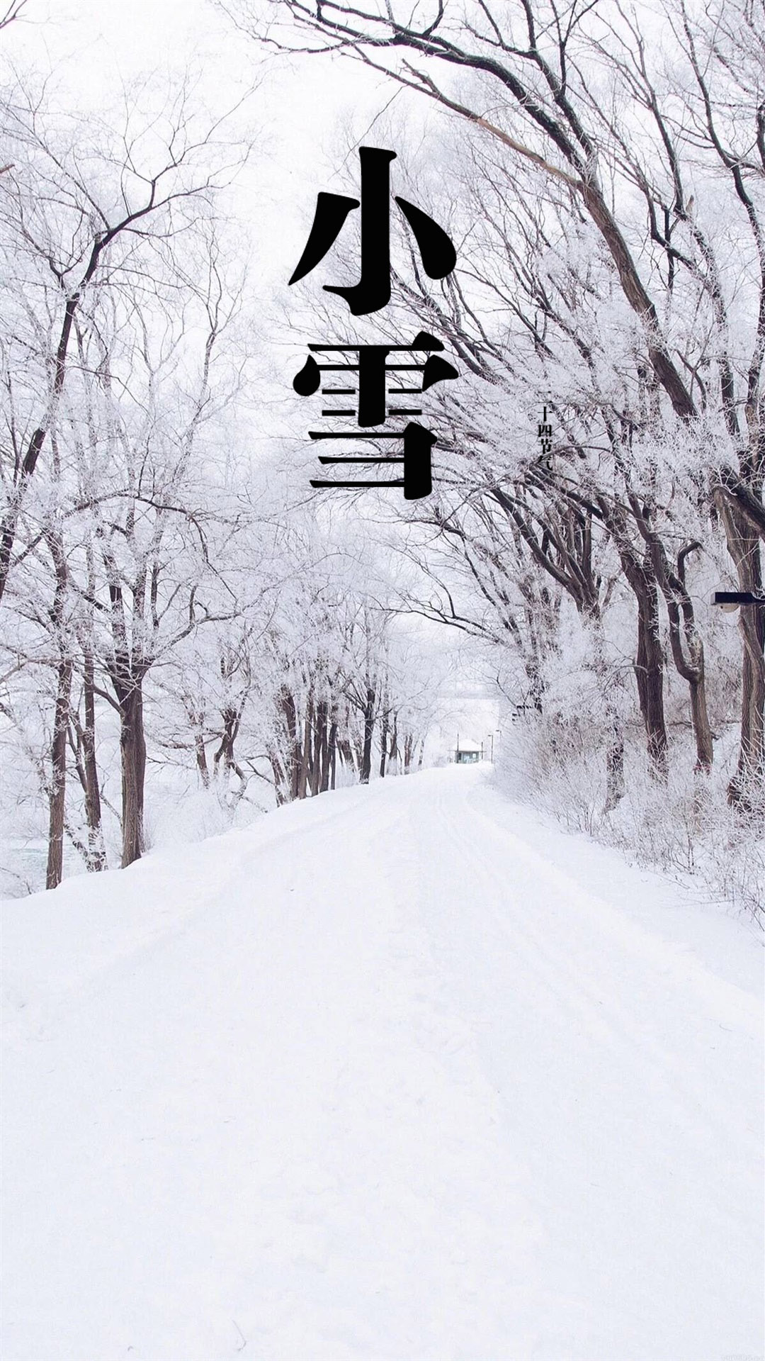 小雪节气的祝福语推荐（记住我对你的关心！小雪快乐）