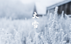 大雪节气古诗鉴赏（十二首大雪的诗词，期盼一场大雪的到来）