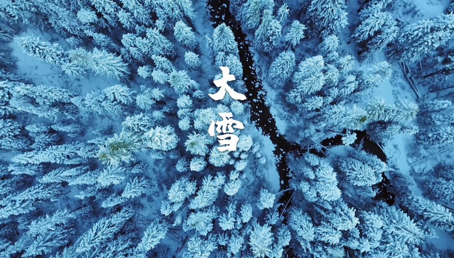 大雪节气古诗鉴赏（十二首大雪的诗词，期盼一场大雪的到来）