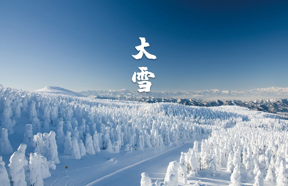 大雪节气古诗鉴赏（十二首大雪的诗词，期盼一场大雪的到来）