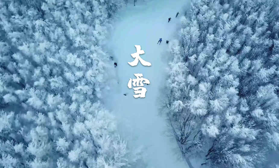 大雪节气古诗鉴赏（十二首大雪的诗词，期盼一场大雪的到来）