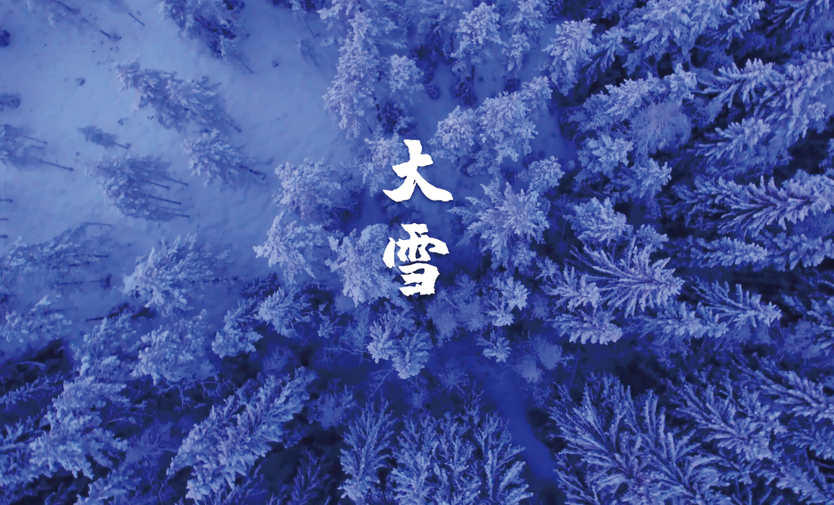 大雪节气古诗鉴赏（十二首大雪的诗词，期盼一场大雪的到来）