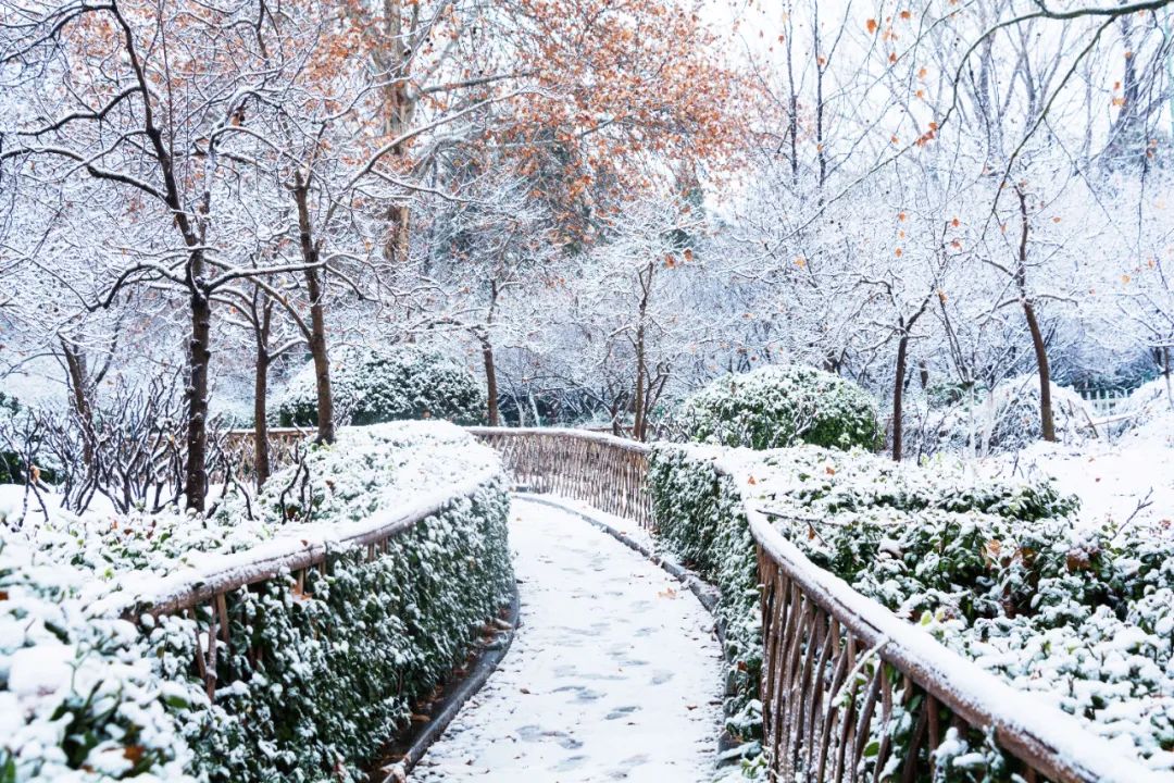 关于大雪节气的温暖祝福文案（满满的快乐都是你的!大雪快乐）