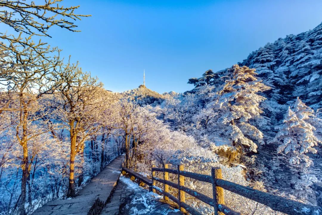 关于大雪节气的温暖祝福文案（满满的快乐都是你的!大雪快乐）