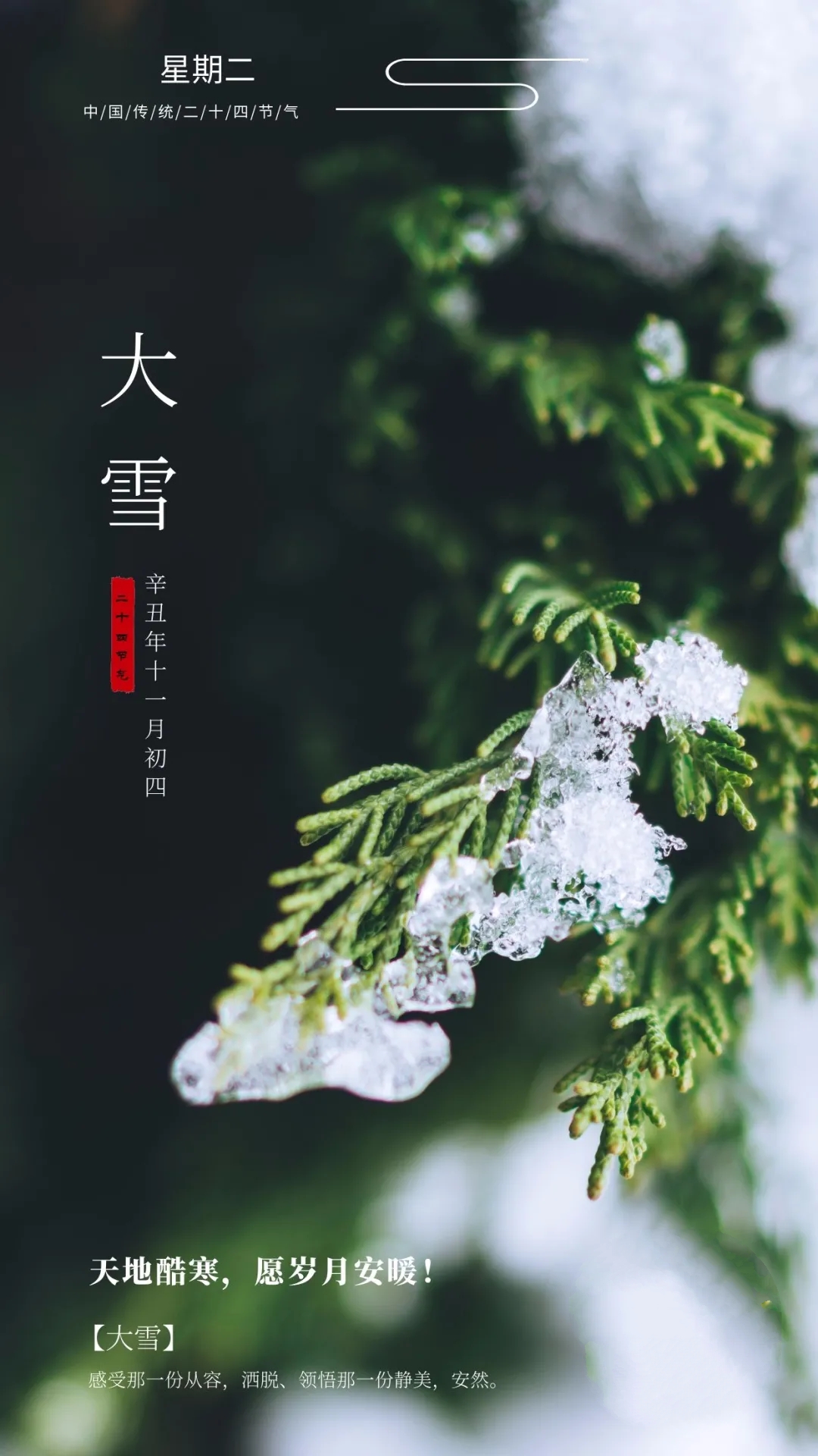 大雪时节早安心语推荐（你想要的，岁月都会给你，早安）