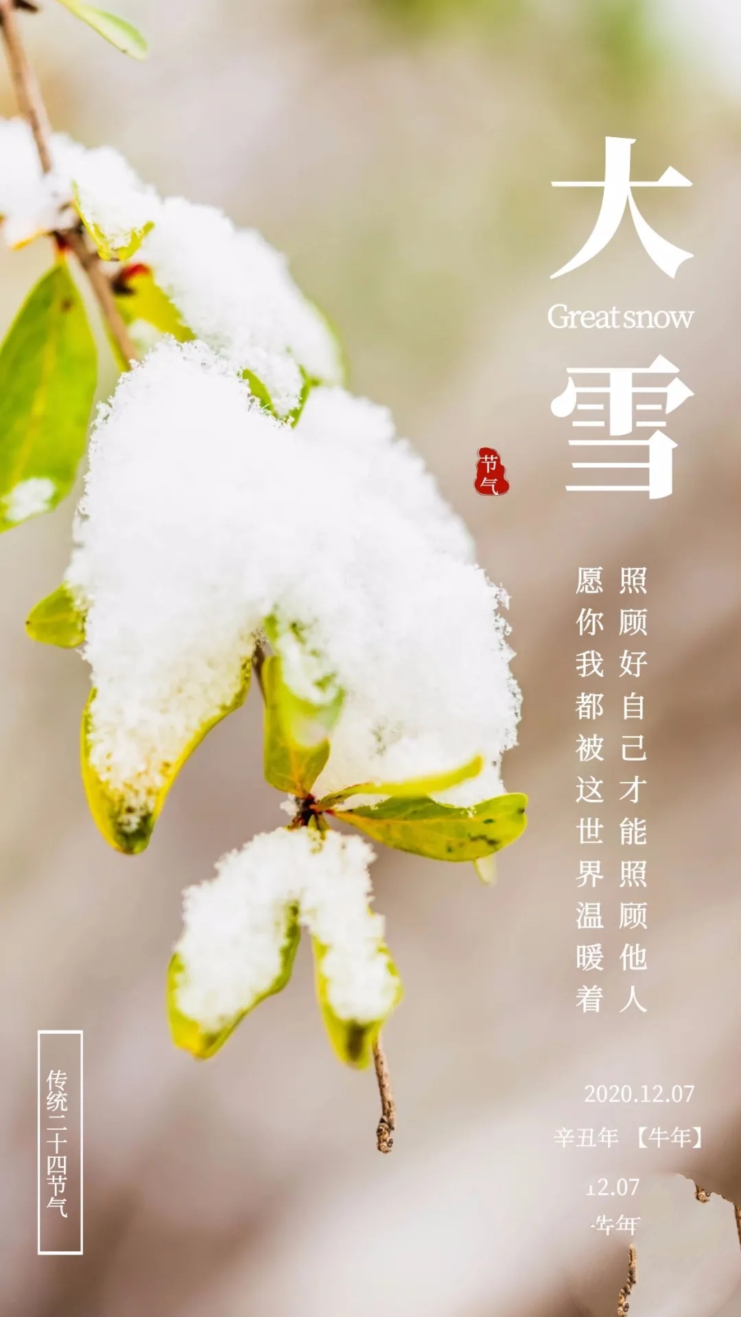 大雪时节早安心语推荐（你想要的，岁月都会给你，早安）