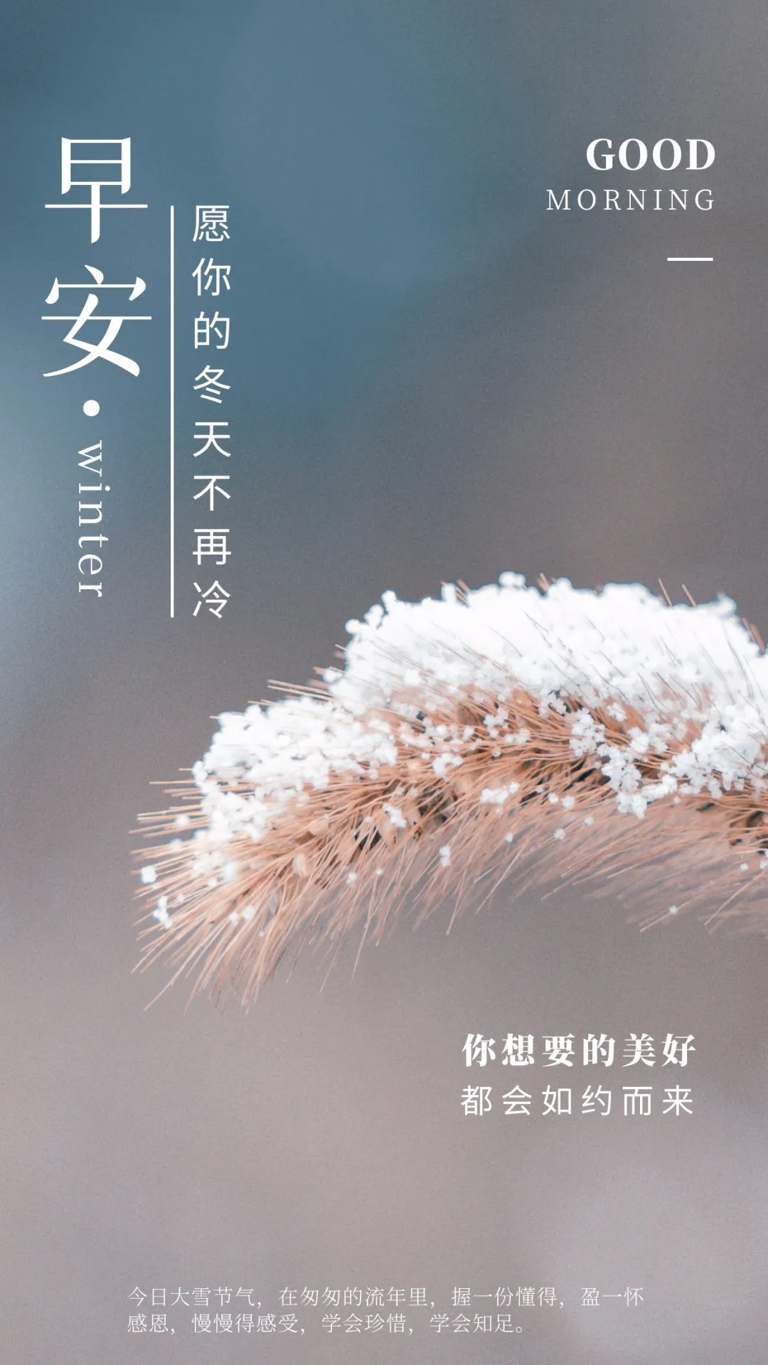 大雪时节早安心语推荐（你想要的，岁月都会给你，早安）