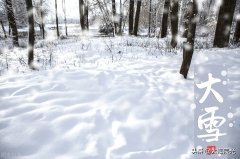 大雪时节唯美句子（冬意深处，坦然不语，愿与雪花共舞）