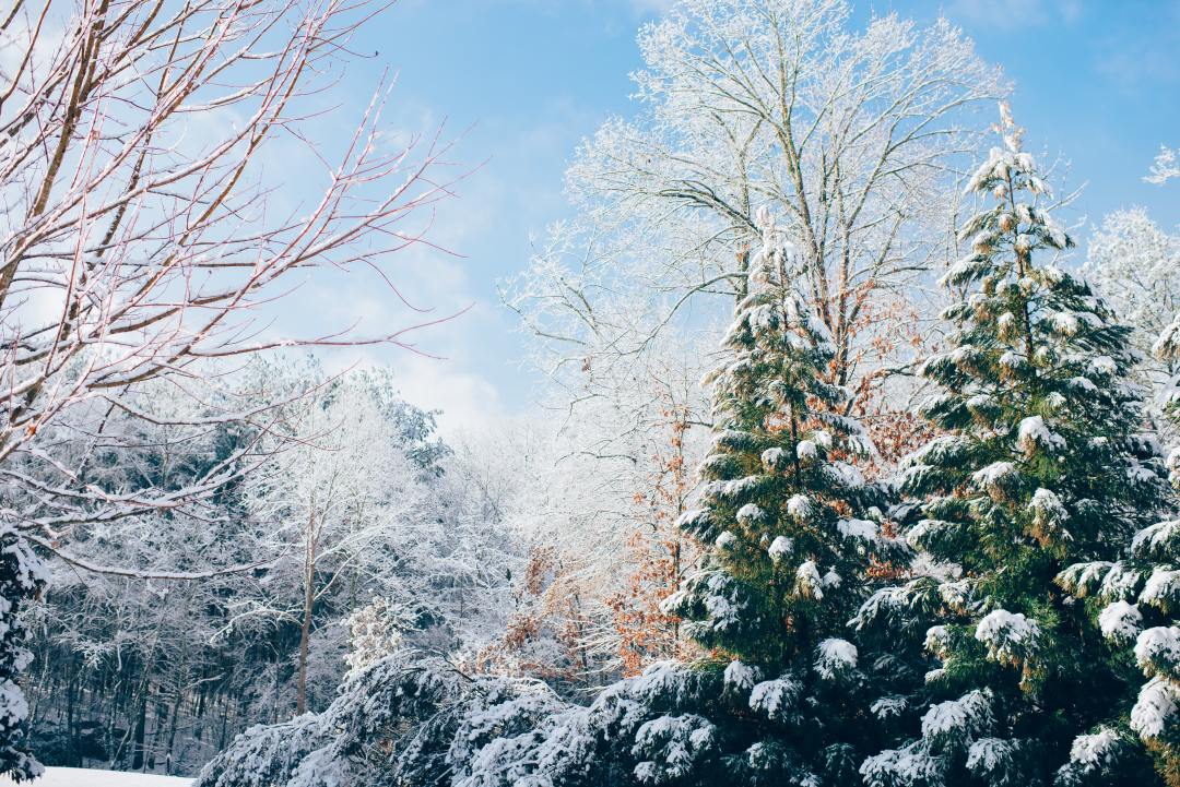 24节气大雪文案分享（精选50句大雪优质文案）