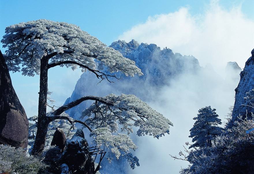 描写黄山美景的诗句（赞美黄山的诗句古诗）