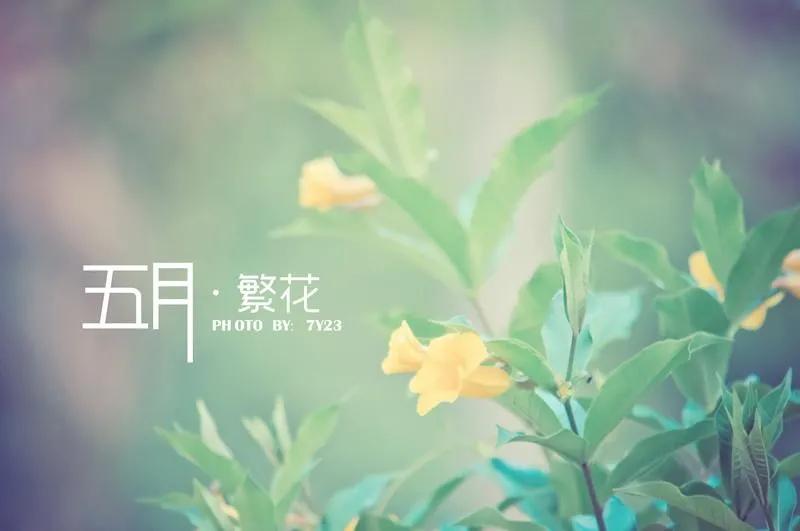 五月夏日时光诗意文案（初夏季节唯美句子）