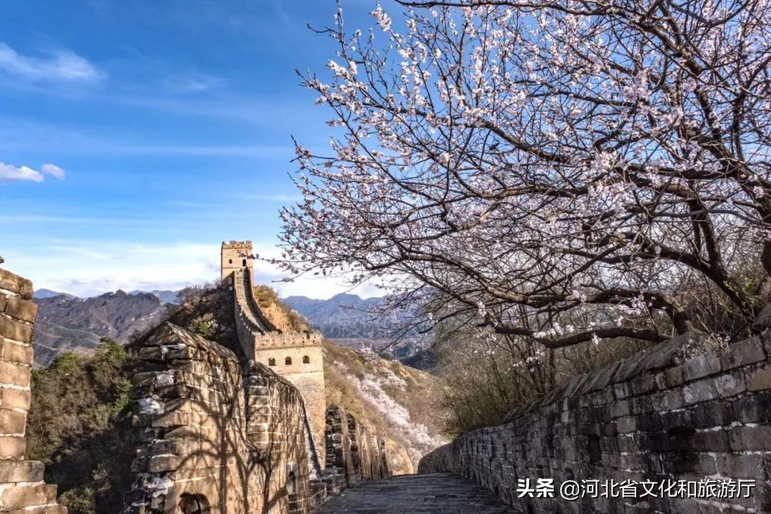 赞美长城美丽风景短句（夸张长城的优美句子分享）