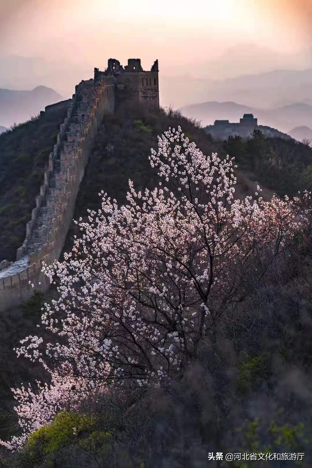 赞美长城美丽风景短句（夸张长城的优美句子分享）