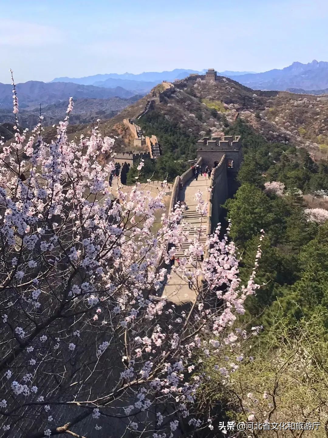 赞美长城美丽风景短句（夸张长城的优美句子分享）