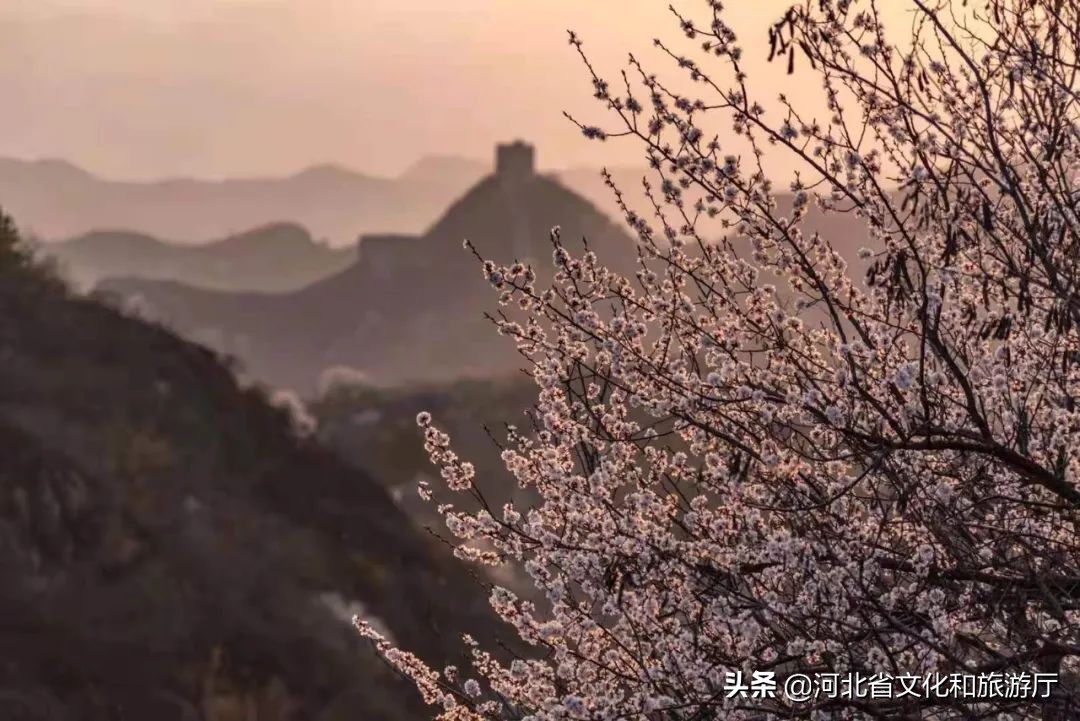 赞美长城美丽风景短句（夸张长城的优美句子分享）