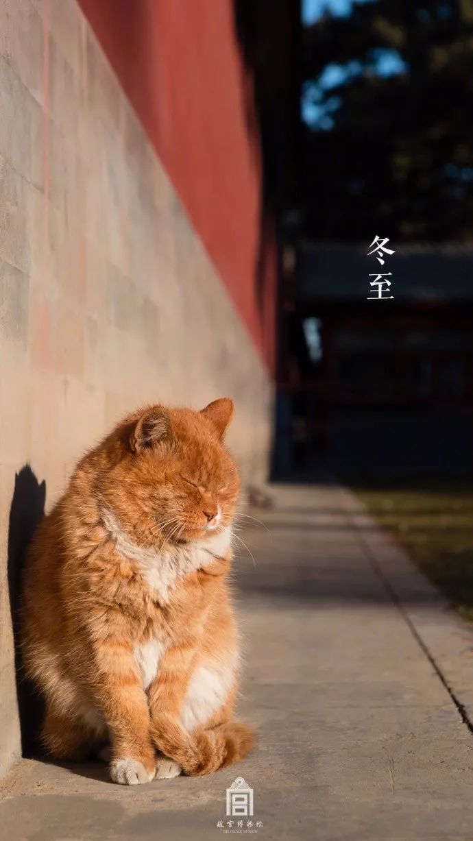 冬至借势文案推荐（分享10句关于冬至的借势文案）