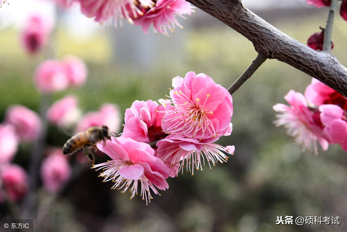 描写四季的句子春夏秋冬（四字成语汇总）