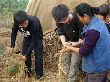 2022长才干大学生社会实践主题总结模板（做贡献大学生社会实践工作总结范本）