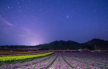 有关夏天的唐诗宋词（夏日唐诗的经典名句）