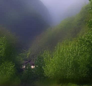 有关夏天的唐诗宋词（夏日唐诗的经典名句）