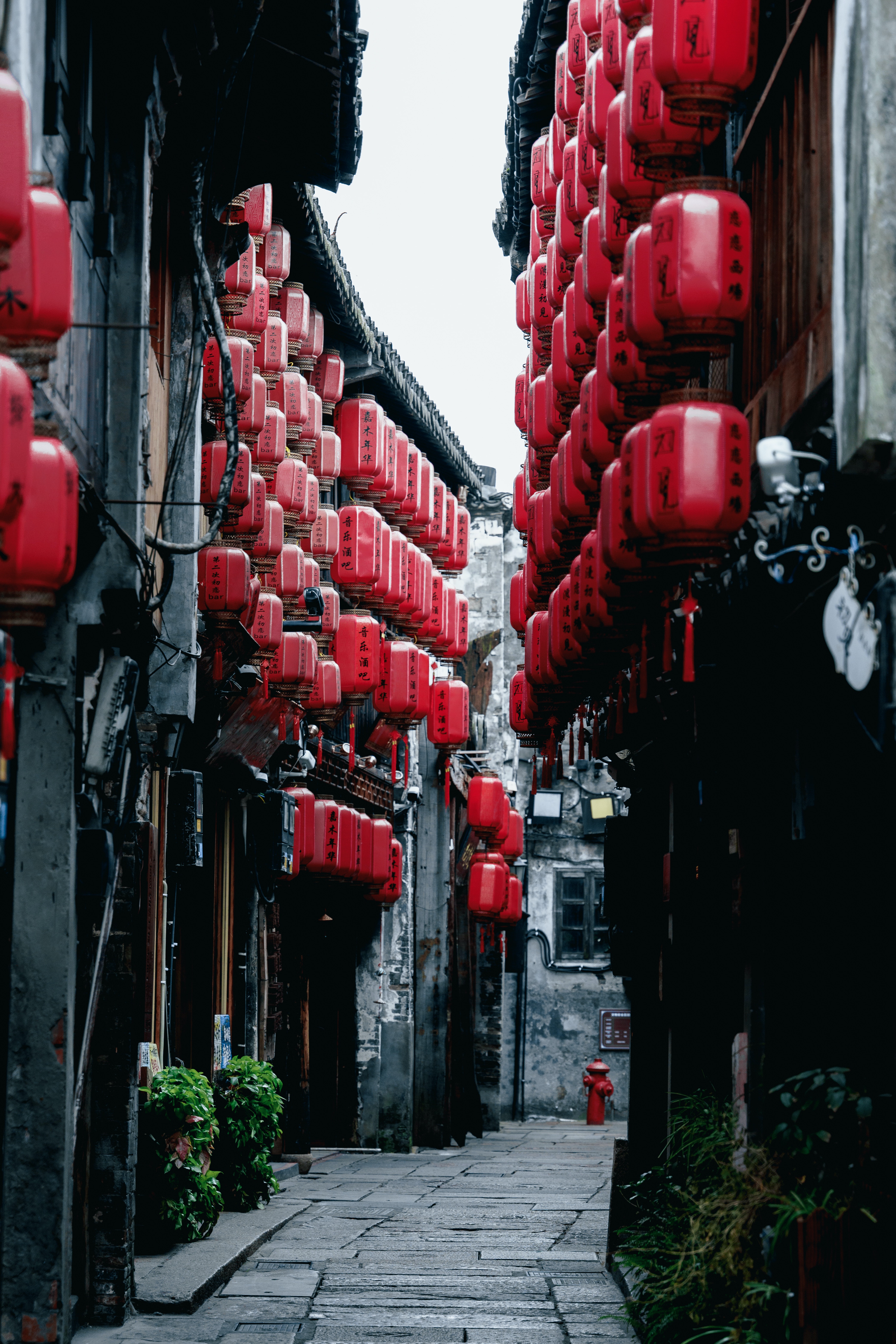 元宵节文案大全（元宵佳节，祝你万事圆满）