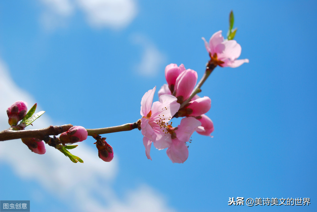 有关因果的禅意诗词（意境高的禅意诗词）