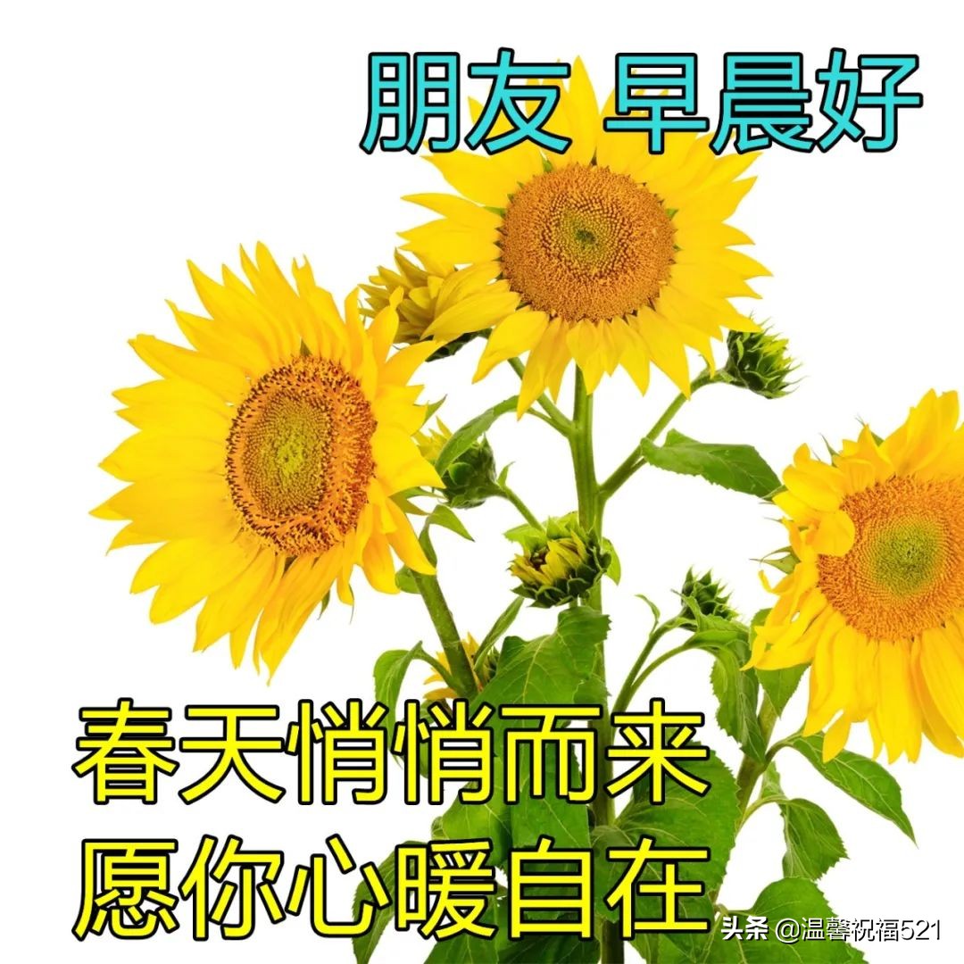 五四青年节早上好问候语（愿我们友谊长长久久早上好）