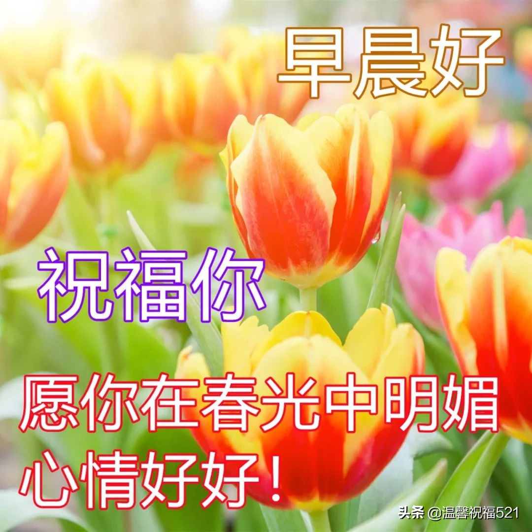 五四青年节早上好问候语（愿我们友谊长长久久早上好）