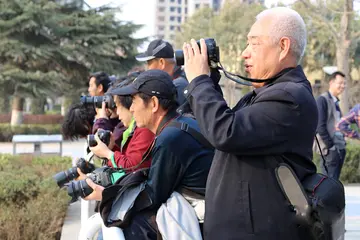 2022实际操作学习摄影实习活动总结范文（理论知识指导摄影入门工作总结范例）