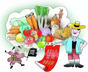 2022食品安全营养健康管理工作方案模板（贯彻落实食品安全监管实施方案范本）