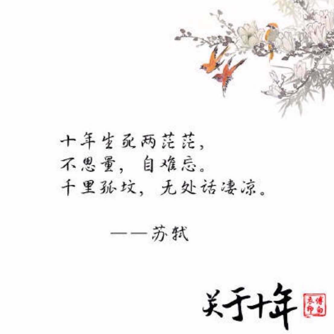 十年风雨夫妻经典语录（相伴十年唯美句子）