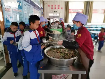 2022小学完善食品安全治理体系总结模板（小学食品卫生安全管理工作总结范本）