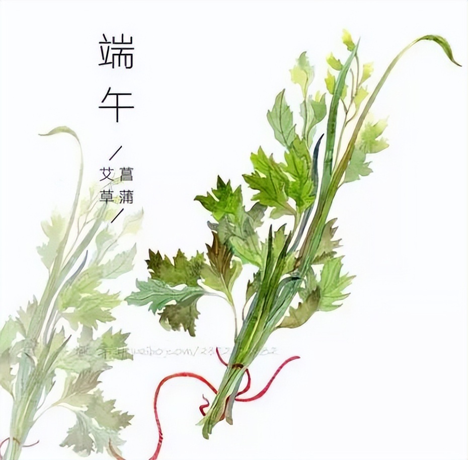 端午节的真正由来（端午节的由来与习俗介绍）