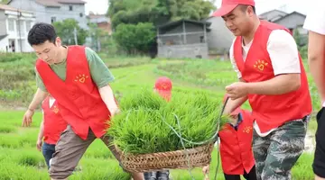 2022表彰典型全国劳动模范心得感想模板（辛勤付出劳动模范精神心得体会范本）